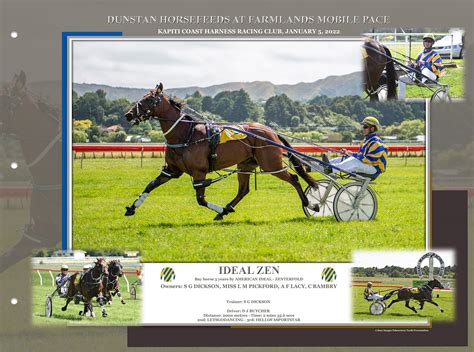 nz harness racing results